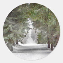 Foto "Forest Road Snow Pine Tree"