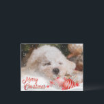 Foto Frohe Weihnachts-Overlay-Haushalt Feiertagspostkarte<br><div class="desc">Passen Sie diese preiswerte Postkarte mit Ihrem eigenen Foto an. Wir haben eine Schneeballschicht und eine frohe Weihnachtsakzentschicht hinzugefügt. Ideal für alle Ihre Familie und Freunde.</div>