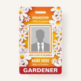 Foto Frohe White Daisies Orange Identifikation Ausweis