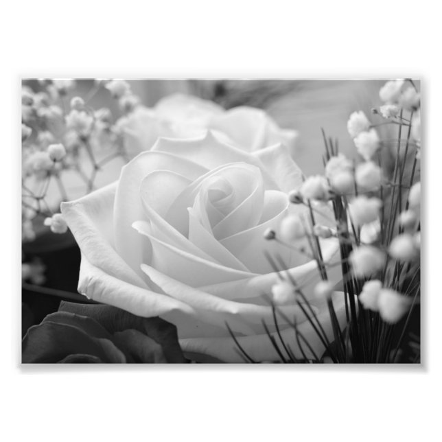 Foto für die B&W-Blume (Vorne)