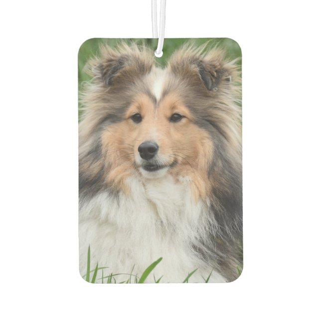 Foto für die Memorial-Foto-Hunde Autolufterfrischer (Rückseite)