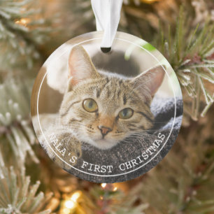 Foto für einfache Frame Animal Pets Ornament