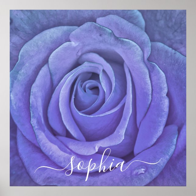 Foto für Elegante Rose Blume Name Poster (Vorne)