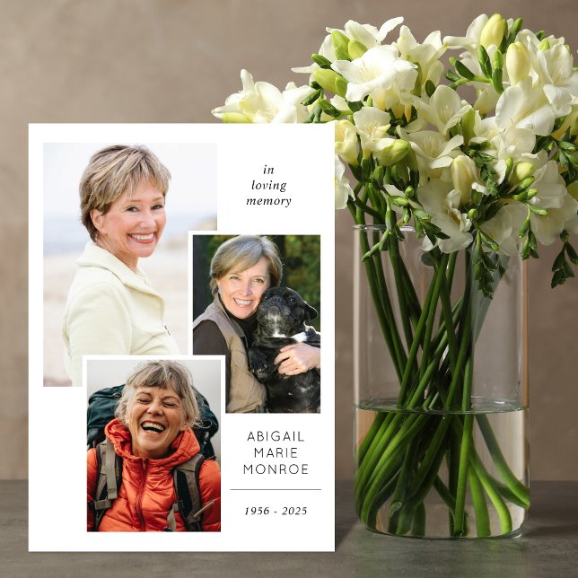 Foto für Galerien Programm (Von Creator hochgeladen)