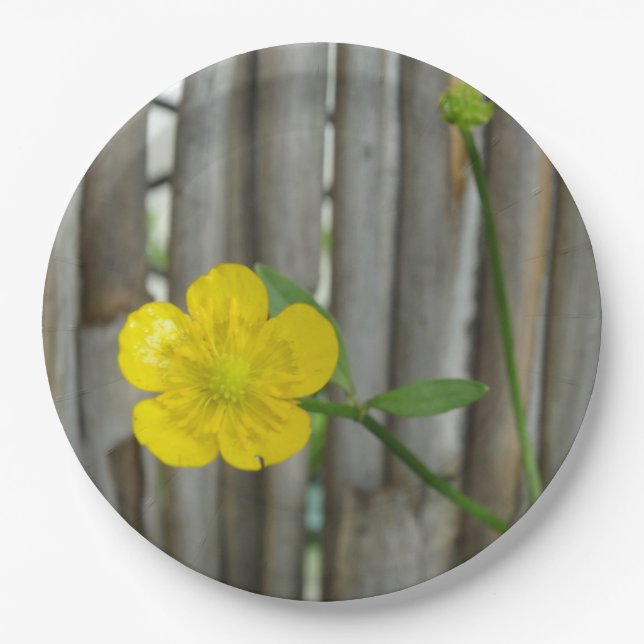 Foto für gelbe Blume Teller 9 in (Vorderseite)