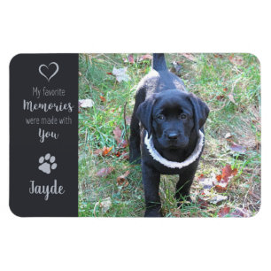 Foto für Haustiere - Foto für Hunde - Katzen-Foto  Magnet