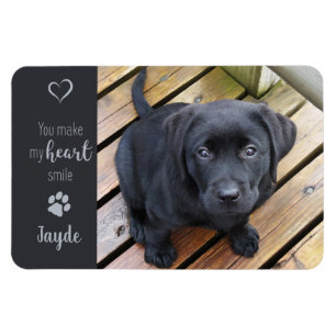 Foto für Haustiere - Foto für Hunde - Katzen-Foto Magnet