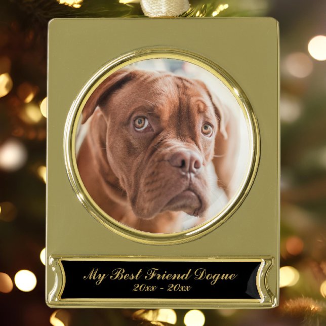 Foto für Haustiere Gold Plate Banner Ornament (We miss out pets when they're gone and this makes a lovely memory keepsake. Just add a photo)