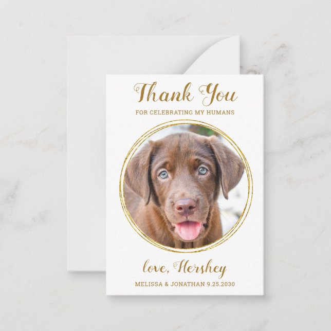 Foto für Haustiere Hund Hochzeit Chic Gold Danke Mitteilungskarte (Vorderseite)
