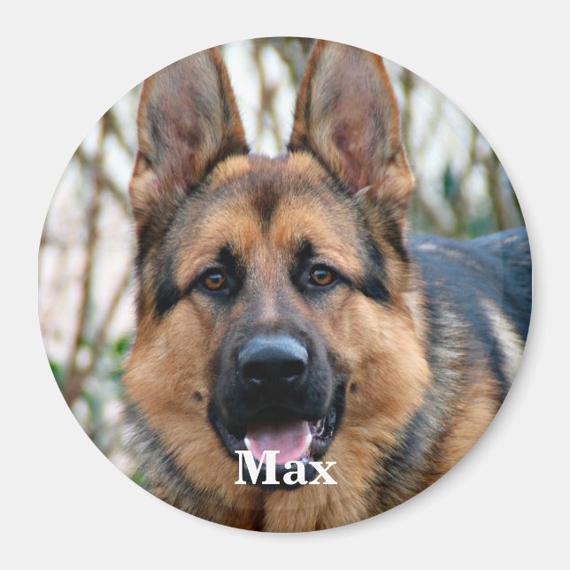 Foto für Haustiere - Hund - Katze - Gedenkstätte f Magnet (Vorne)