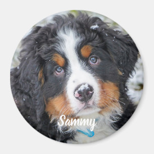Foto für Haustiere - Hund - Katze - Gedenkstätte f Magnet