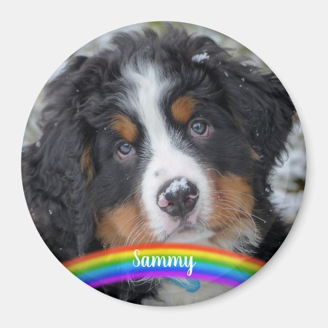 Foto für Haustiere - Hund - Katze - Gedenkstätte f Magnet (Vorne)