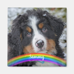 Foto für Haustiere - Hund - Katze - Gedenkstätte f Magnet