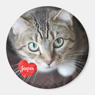 Foto für Haustiere - Hund - Katze - Gedenkstätte f Magnet