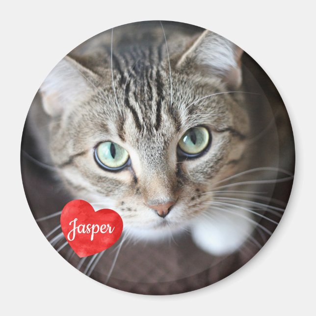 Foto für Haustiere - Hund - Katze - Gedenkstätte f Magnet (Vorne)