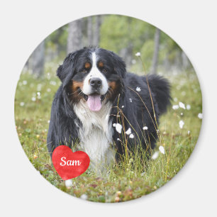 Foto für Haustiere - Hund - Katze - Gedenkstätte f Magnet