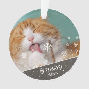 Foto für Haustiere Keepake & Christmas Ornament