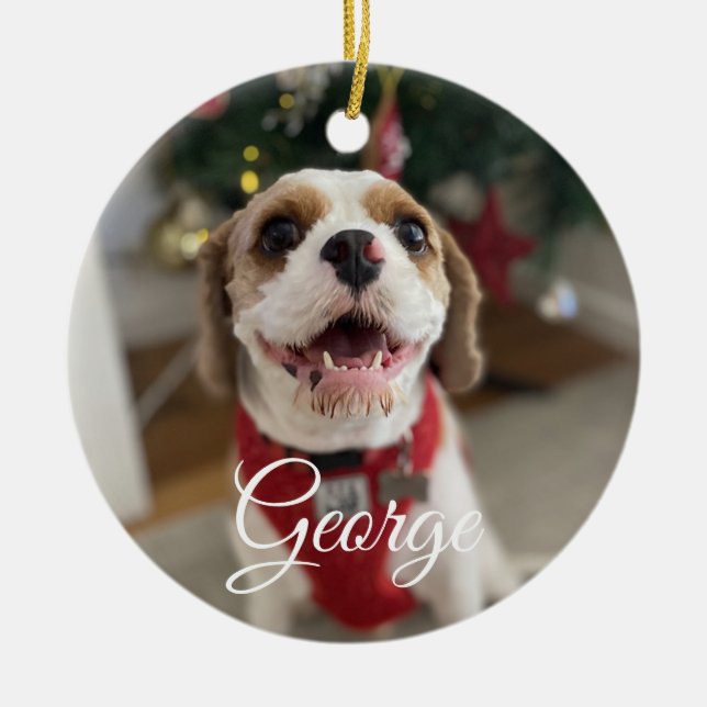 Foto für Haustiere Keramik Ornament (Vorne)