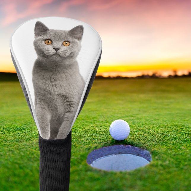Foto für Haustiere mit benutzerdefinierter Familie Golf Headcover (Von Creator hochgeladen)