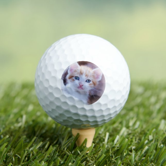 Foto für Haustiere modern Golfball (Insitu T-Shirt)