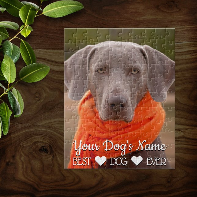 Foto für Haustiere Personalisiert (Von Creator hochgeladen)