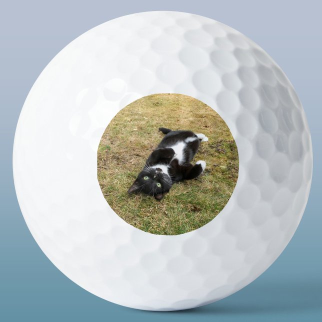 Foto für Haustiere Personalisiert modern Golfball (Personalized pet photo circle frame custom golf ball for animal lovers)
