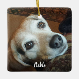 Foto für Haustiere und Name 2 Seite Weihnachten Keramikornament