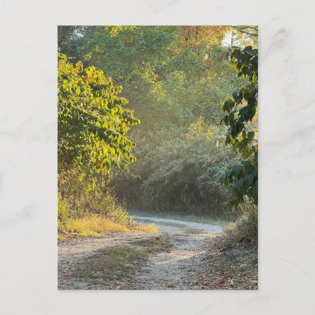 Foto für Herbstpfade Postkarte (Vorderseite)