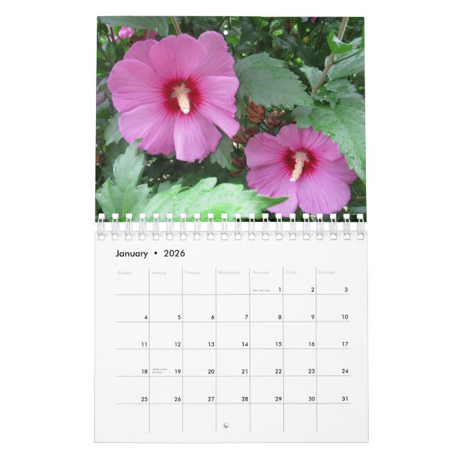 Foto für hübsche Blume Kalender (Jan 2026)