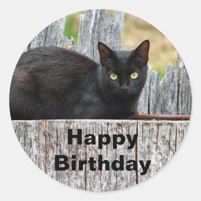Foto für hübsches Schwarzes Katzen Runder Aufkleber (Vorderseite)