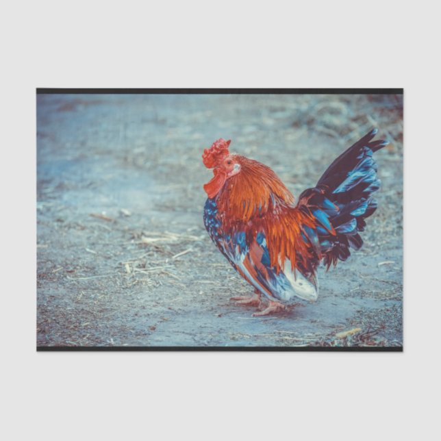 Foto für Hühnerfarben Seidenpapier (Vorderseite)