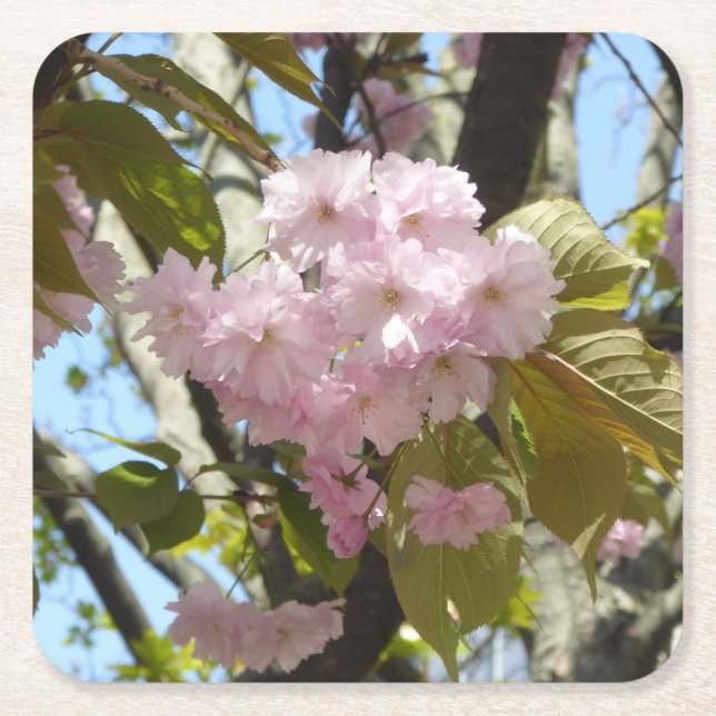 Foto für japanische Kirschblüten Rechteckiger Pappuntersetzer (Vorderseite)