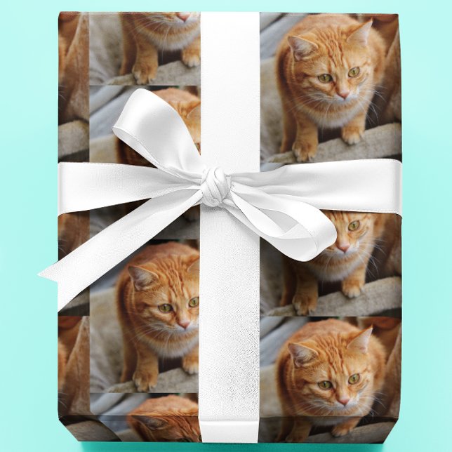 Foto für Katzen personalisieren Geschenkpapier (Von Creator hochgeladen)