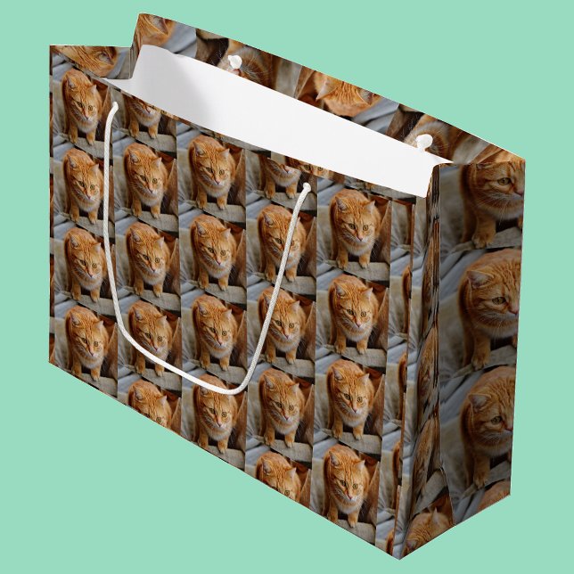 Foto für Katzen personalisieren Große Geschenktüte (Von Creator hochgeladen)