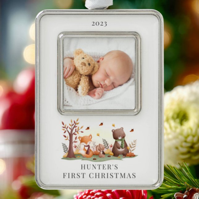 Foto für Landtiere Rahmen-Ornament Silber (Von Creator hochgeladen)