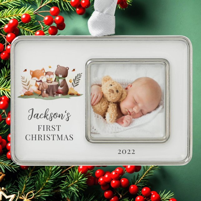 Foto für Landtiere Rahmen-Ornament Silber (Von Creator hochgeladen)