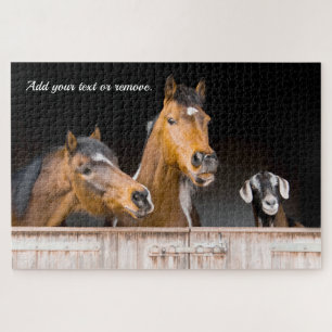 Foto für Pferde und eine Ziege in einem Stall: