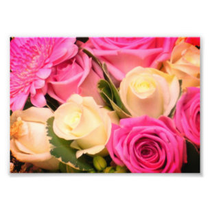 Foto für Rosen in Weiß und Rosa