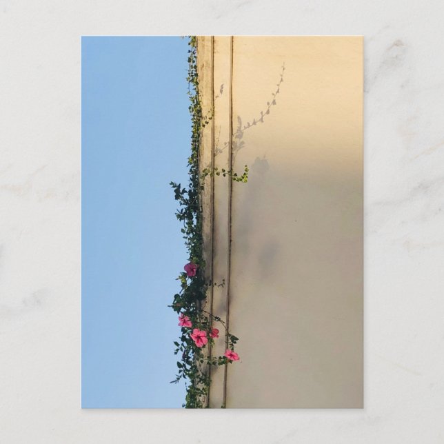 Foto für Ruhe Postkarte (Vorderseite)