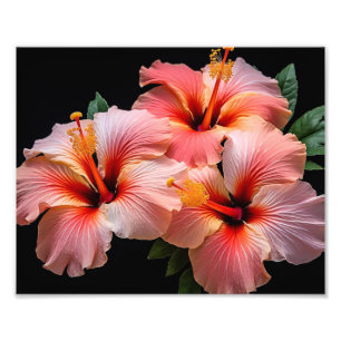 Foto für tropische Blume