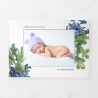 Foto für Violetten und Winterkiefern