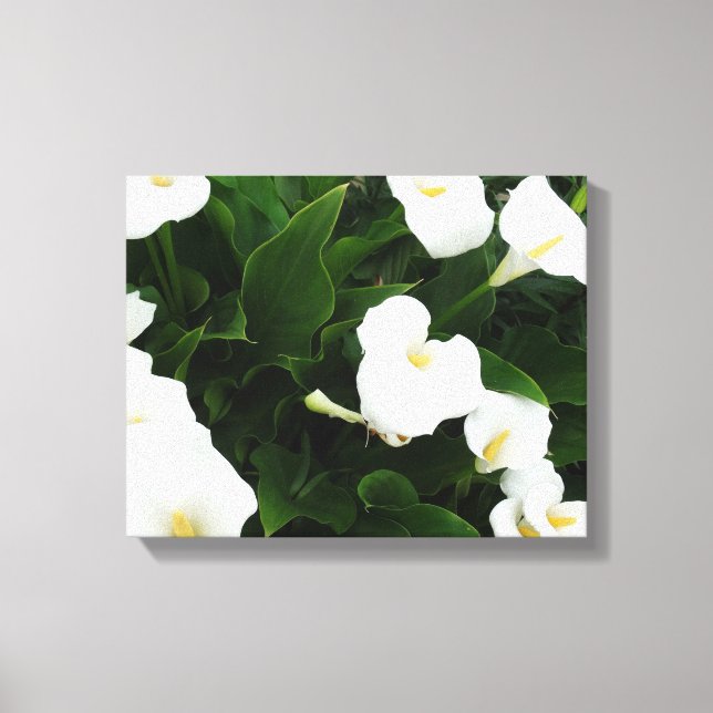 Foto für weiße Blume Leinwanddruck (Vorderseite)