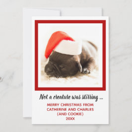 Foto für Welpen Feiertagskarte