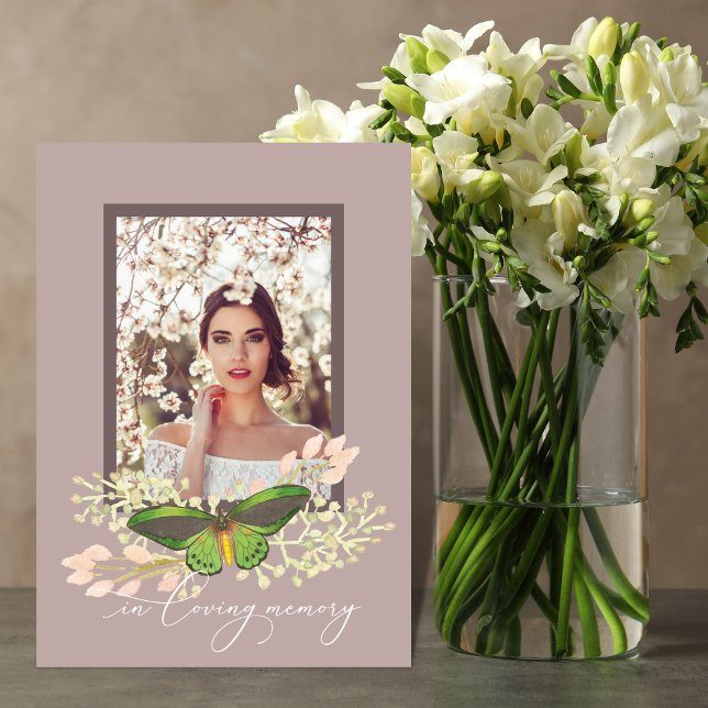 Foto-Gedenkprogramm für Schmetterlinge Programm (Von Creator hochgeladen)