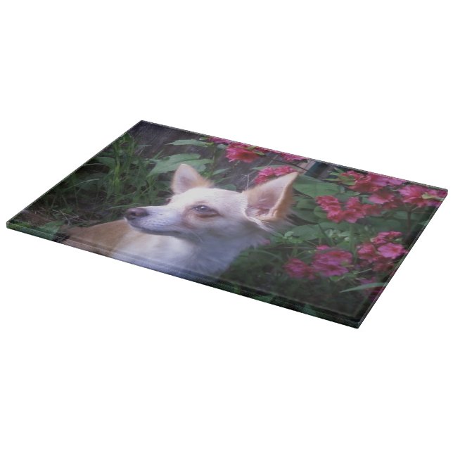 Foto Glass Cutting/Charcuterboard Schneidebrett (Ecke)