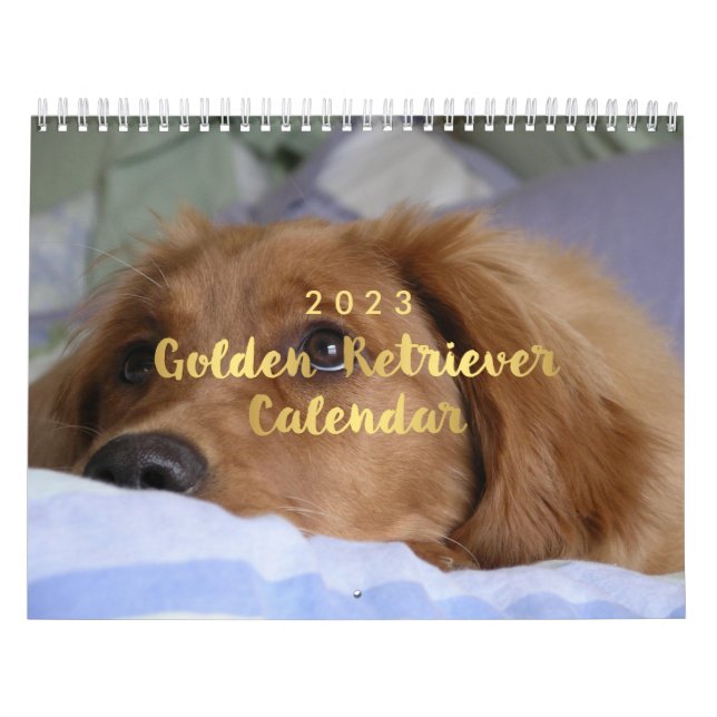 Foto Golden Retriever Calendar 2023 Kalender (Titelbild)