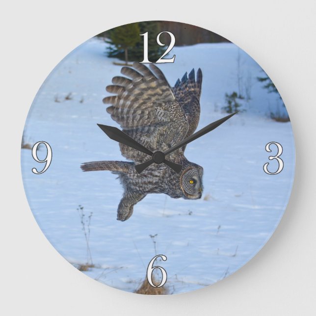 Foto "Great Gray Owl Wildlife" Portrait I Große Wanduhr (Vorderseite)