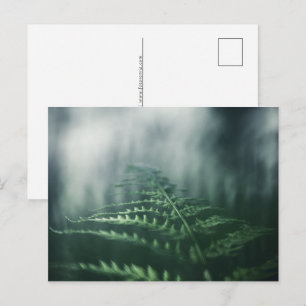 Foto "Grüne Natur" Feiertagspostkarte
