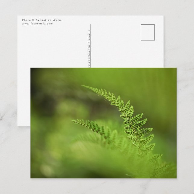 Foto "Grüne Natur" Postkarte (Vorne/Hinten)