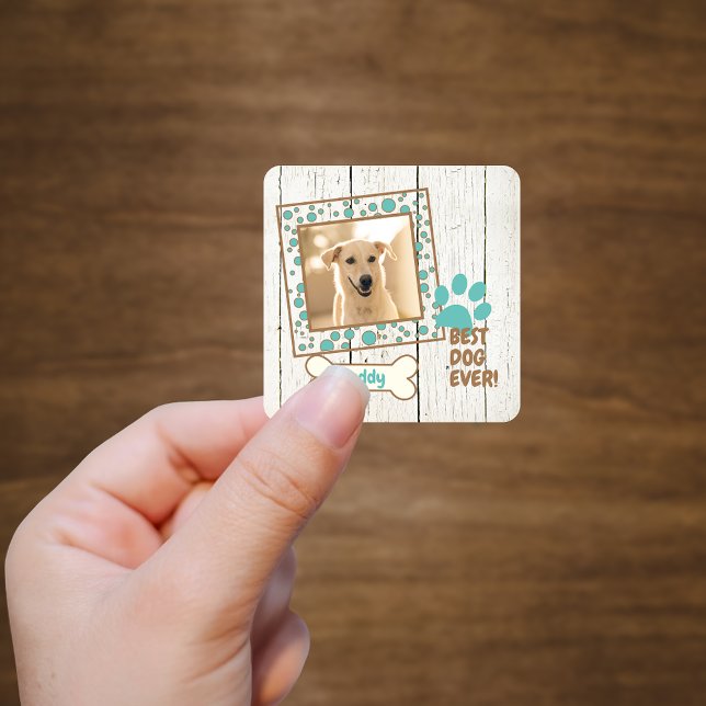 Foto-Handbuch für Haustiere Quadratischer Aufkleber (Von Creator hochgeladen)